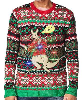 Light Up Kangaroo Ugly Christmas Jumper